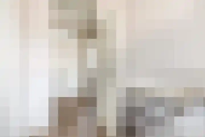 Uiverdonk 21 Veghel thumbnail 23