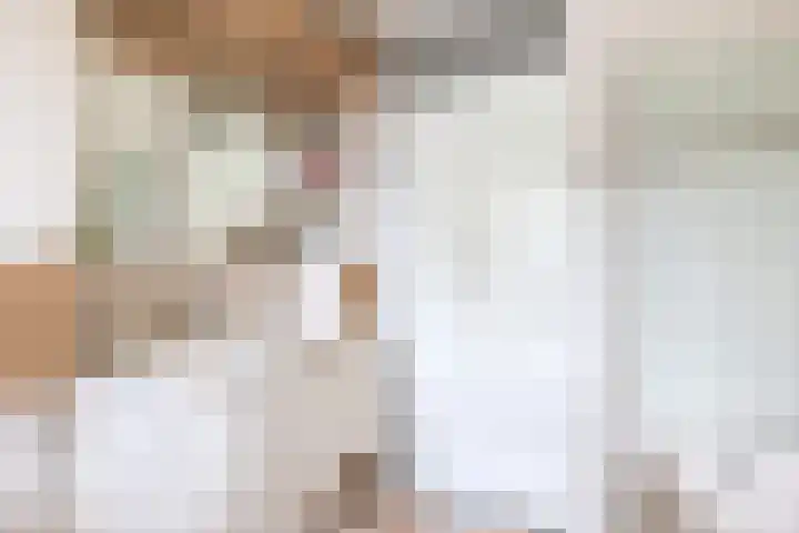 Uiverdonk 21 Veghel thumbnail 24