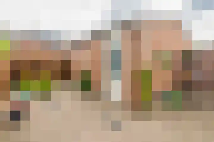 Uiverdonk 21 Veghel thumbnail 30
