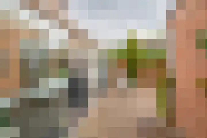 Uiverdonk 21 Veghel thumbnail 31