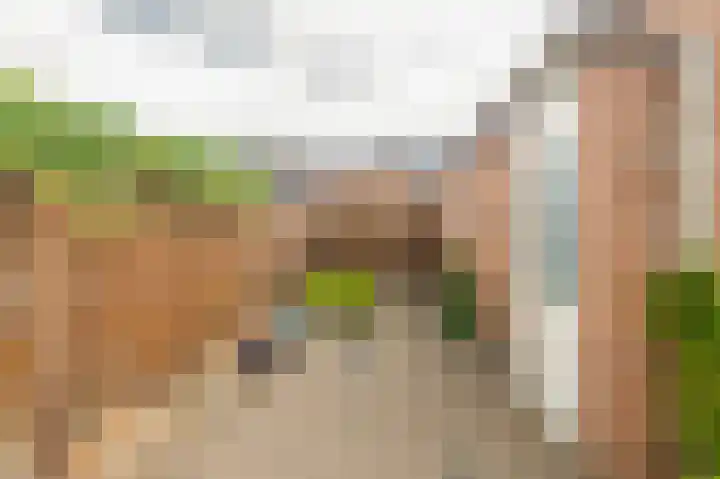 Uiverdonk 21 Veghel thumbnail 33