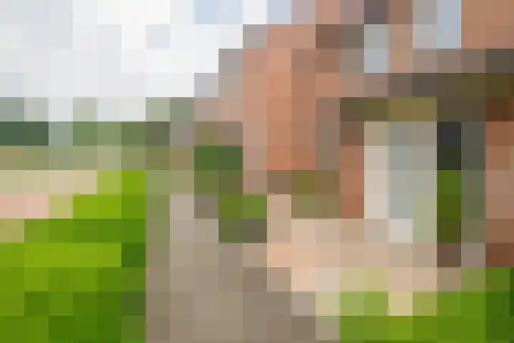Uiverdonk 21 Veghel thumbnail 35