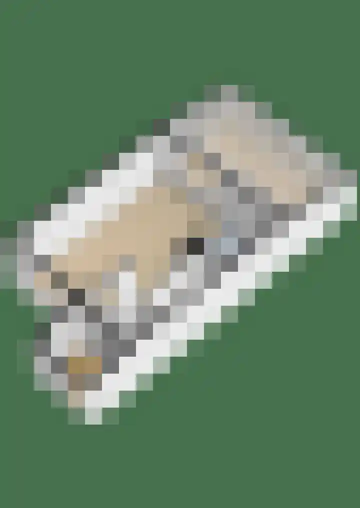 Uiverdonk 21 Veghel thumbnail 37