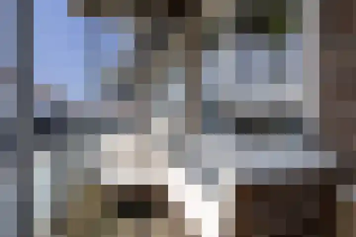 Uiverhof 136 Beverwijk thumbnail 24