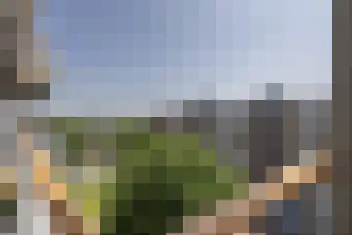 Uiverhof 136 Beverwijk thumbnail 28