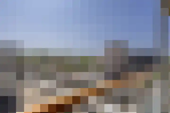 Uiverhof 136 Beverwijk thumbnail 29