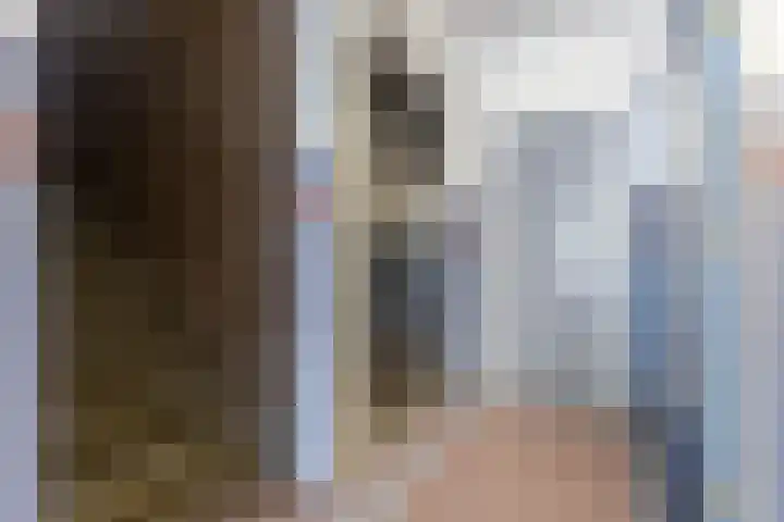 Uiverhof 136 Beverwijk thumbnail 32