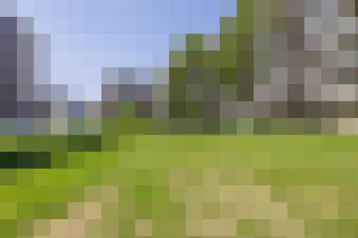 Uiverhof 136 Beverwijk thumbnail 35