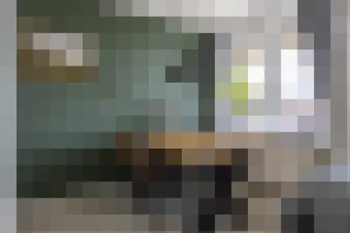 Uiverhof 136 Beverwijk thumbnail 9