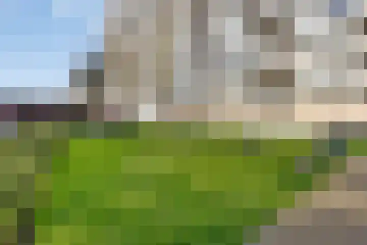 Uiverhof 16 Beverwijk thumbnail 25
