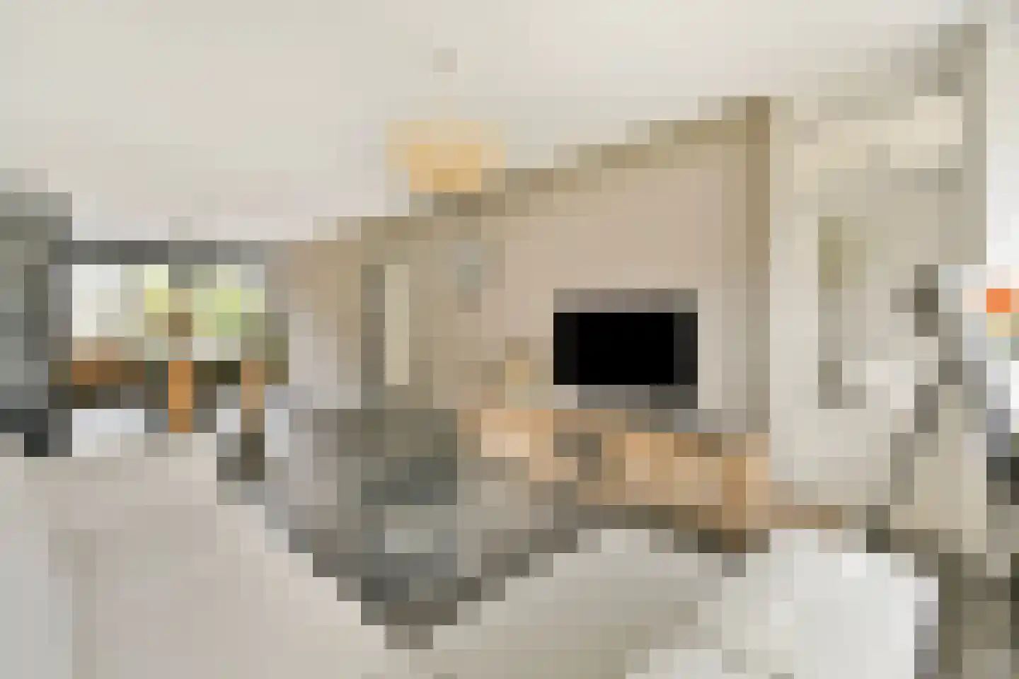 Uiverhof 2 Beverwijk thumbnail 14