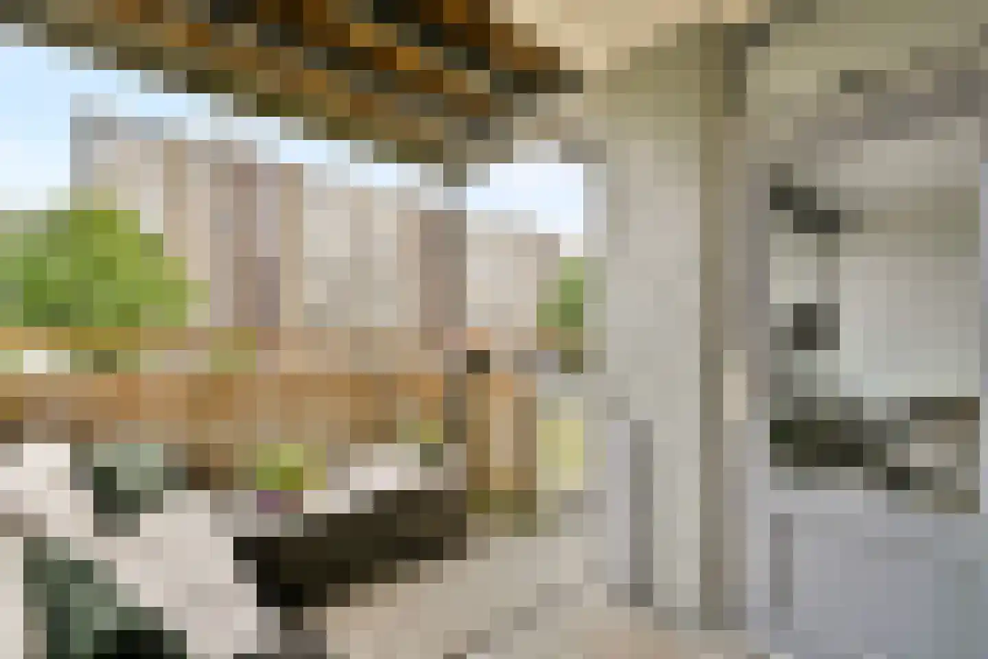 Uiverhof 2 Beverwijk thumbnail 16