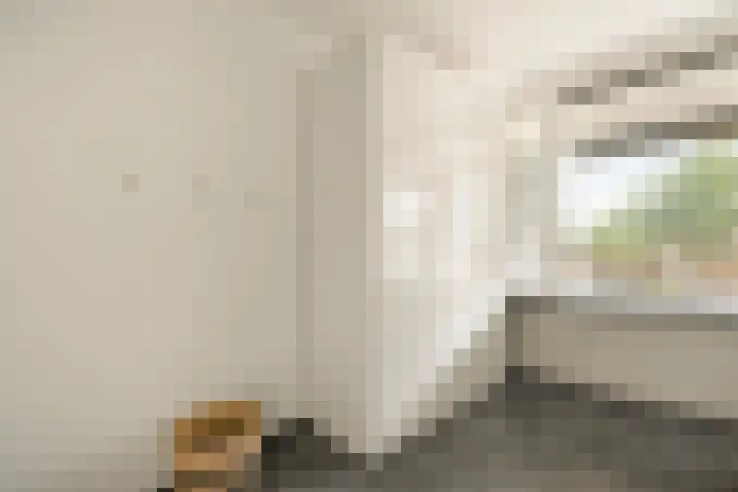 Uiverhof 2 Beverwijk thumbnail 21