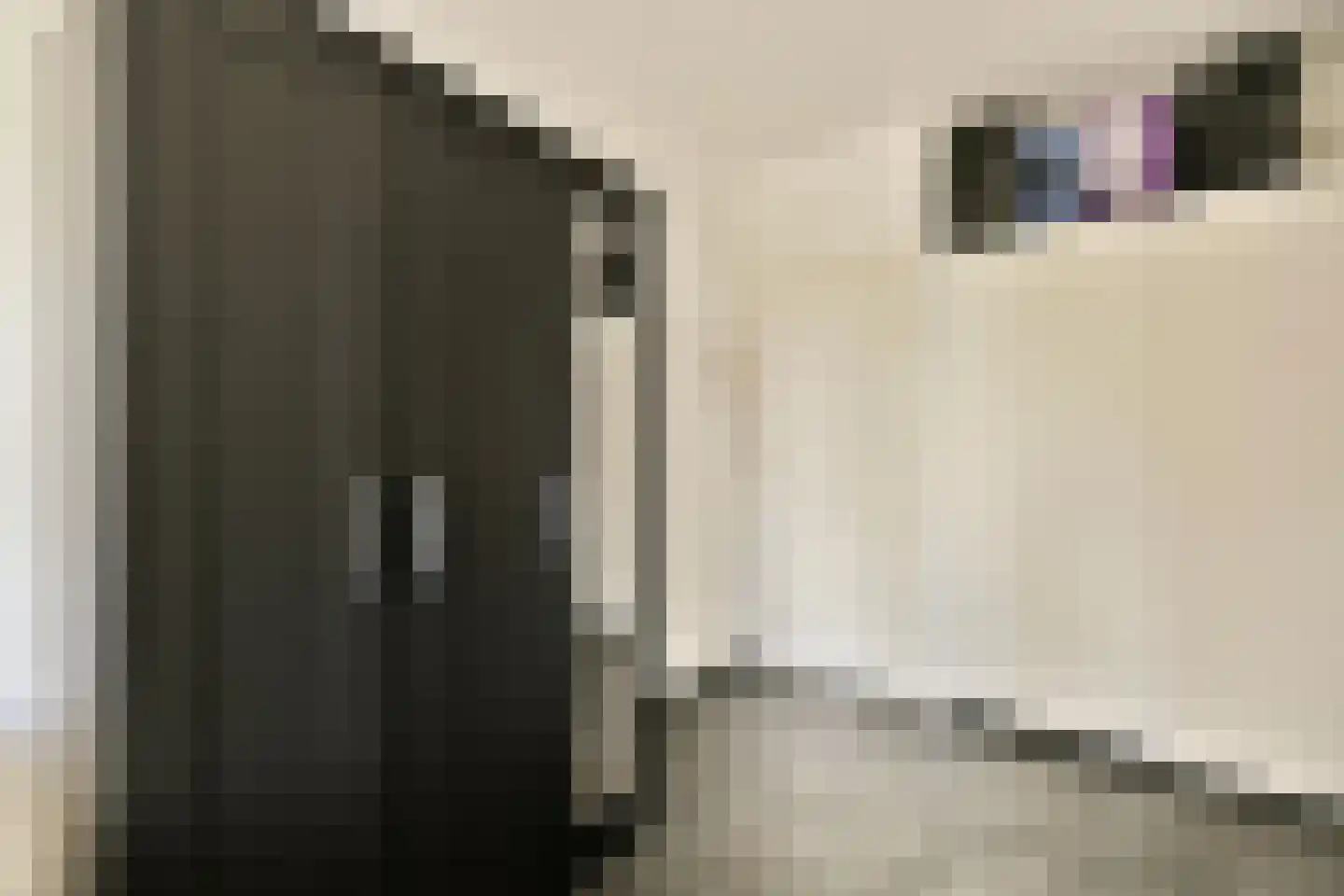 Uiverhof 2 Beverwijk thumbnail 22