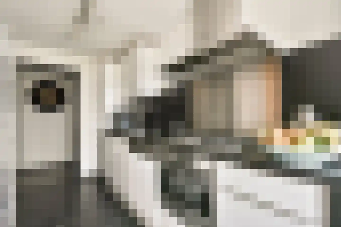 Uiverhof 2 Beverwijk thumbnail 7