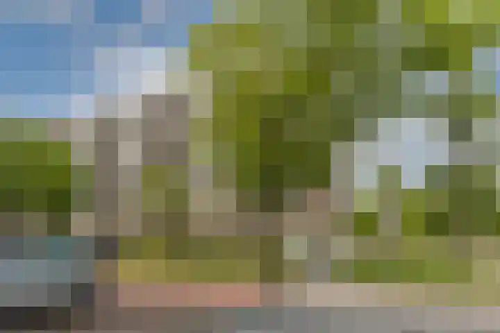 Uiverhof 84 Beverwijk thumbnail 18