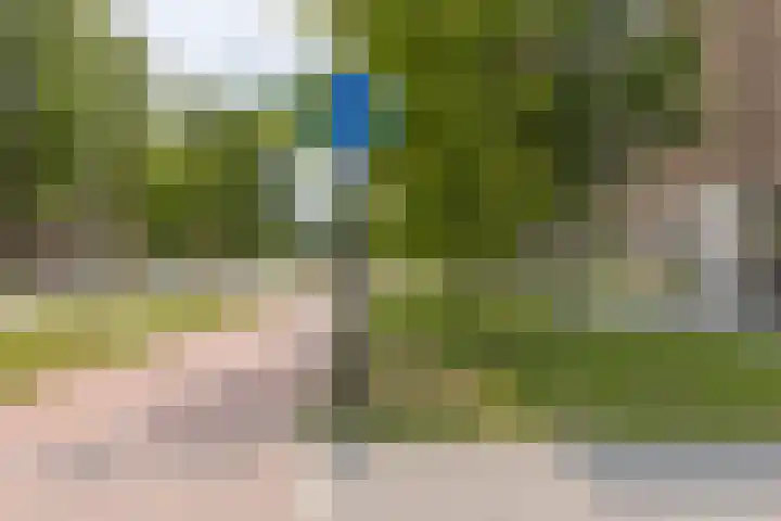 Uiverhof 84 Beverwijk thumbnail 19