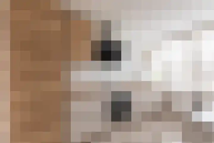 Uiverhof 84 Beverwijk thumbnail 4