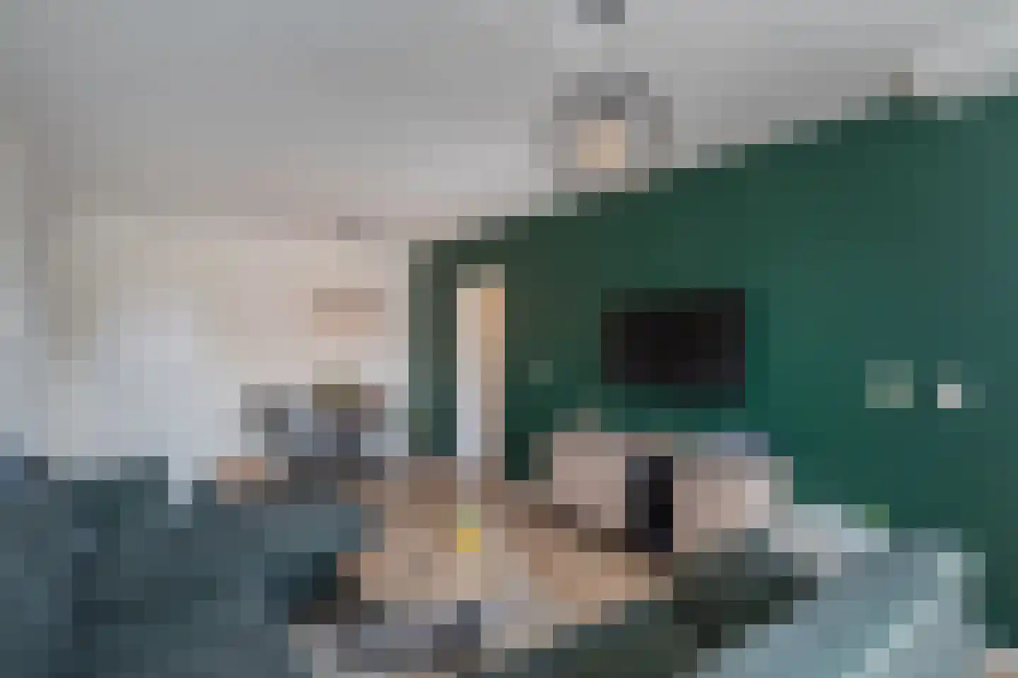 Uiverhof 86 Beverwijk thumbnail 10