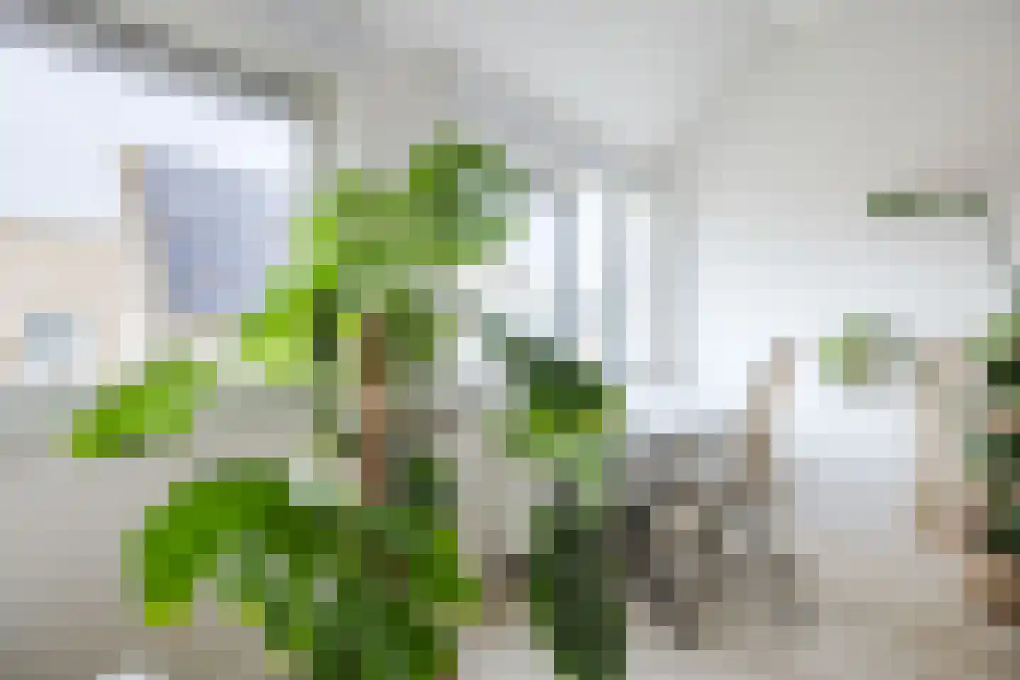Uiverlaan 12 E Maassluis thumbnail 10
