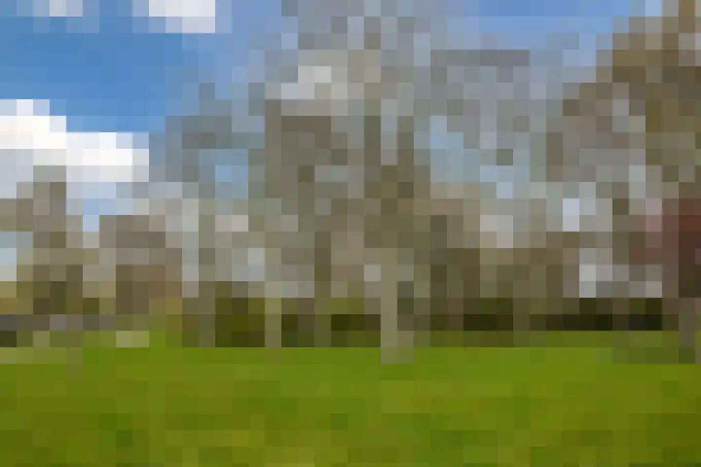 Uiverlaan 12 E Maassluis thumbnail 34