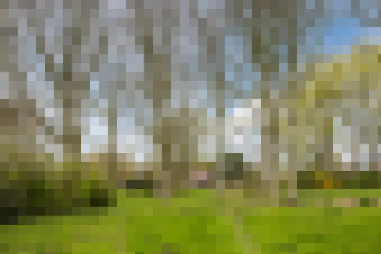Uiverlaan 12 E Maassluis thumbnail 6