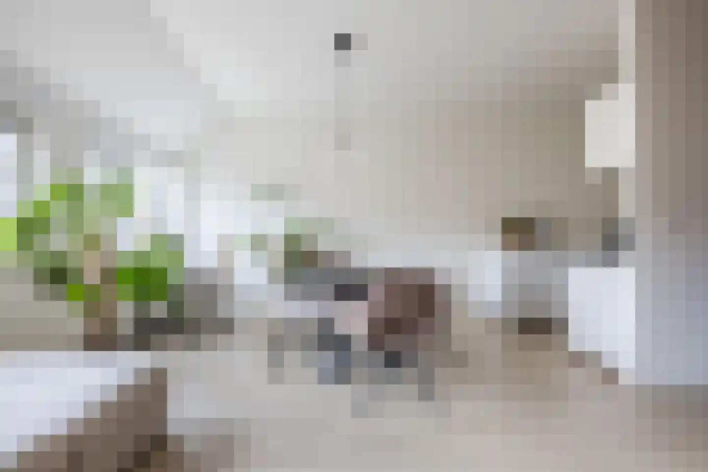Uiverlaan 12 E Maassluis thumbnail 9