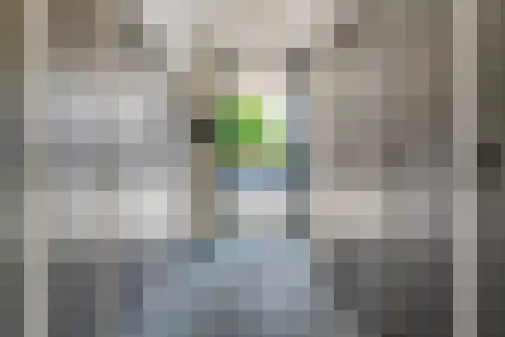 Uiverlaan 12 G Maassluis thumbnail 9