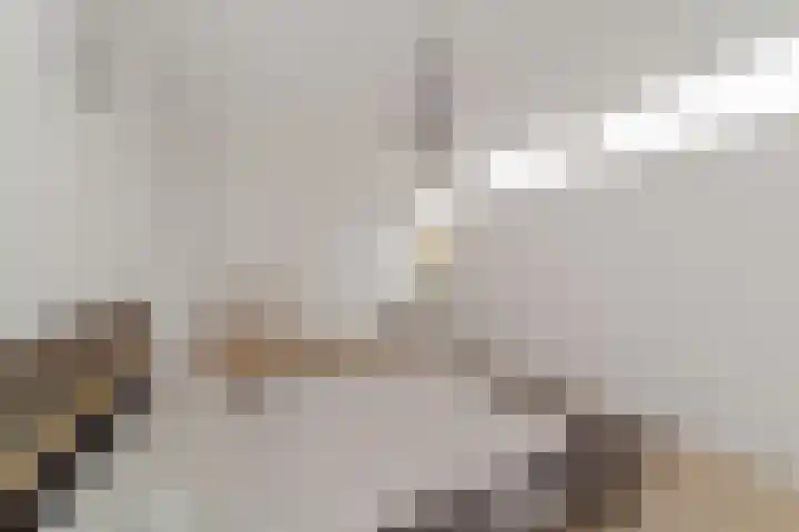 Uiverlaan 14 E Maassluis thumbnail 13