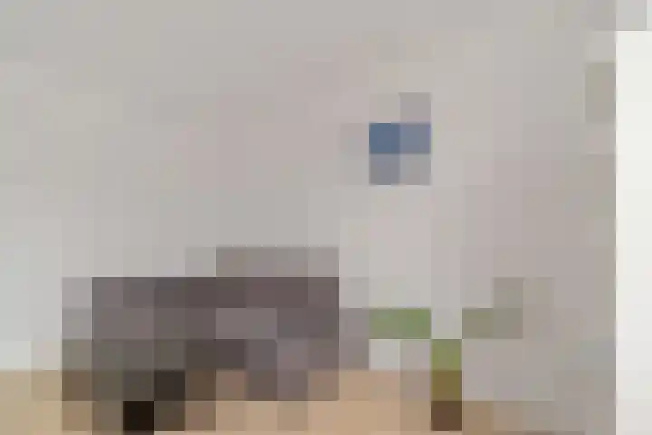 Uiverlaan 14 E Maassluis thumbnail 17