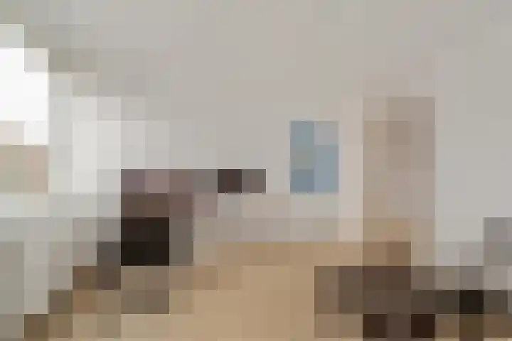 Uiverlaan 14 E Maassluis thumbnail 18