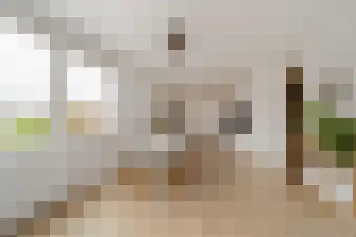 Uiverlaan 14 E Maassluis thumbnail 9