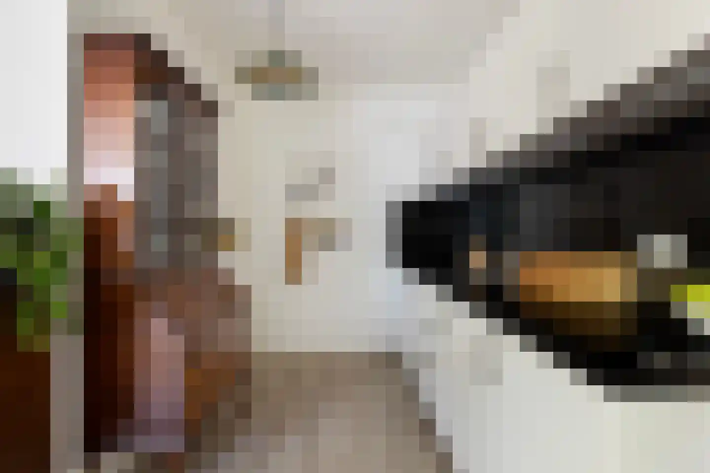 Uiverlaan 14 K Maassluis thumbnail 17