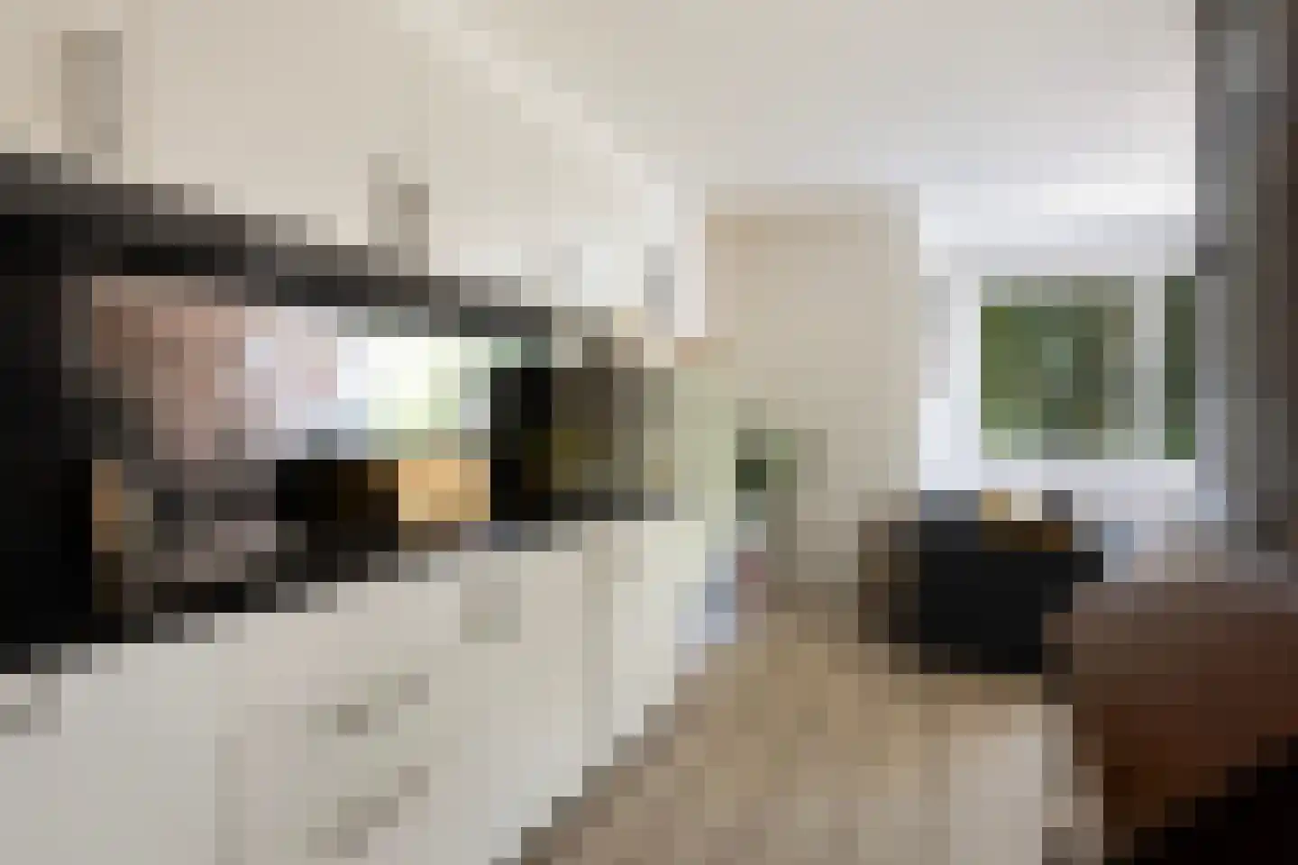 Uiverlaan 14 K Maassluis thumbnail 18