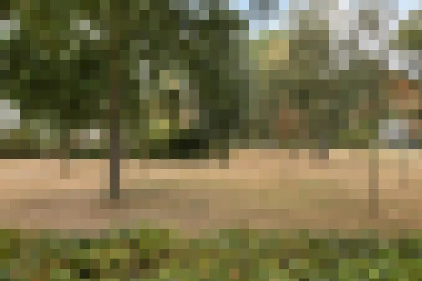 Uiverlaan 14 K Maassluis thumbnail 4