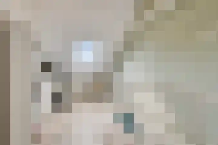Uiverlaan 15 Helmond thumbnail 31