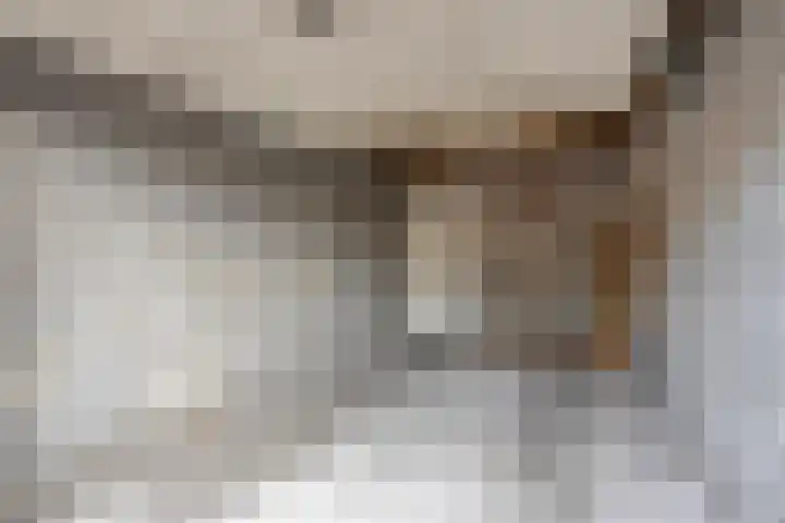 Uiverlaan 15 Helmond thumbnail 39