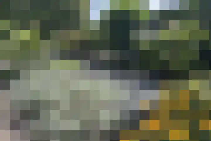 Uiverlaan 15 Helmond thumbnail 42