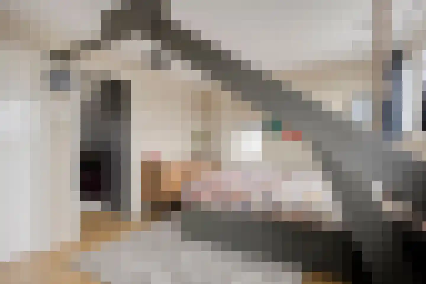 Uiverlaan 28 Helmond thumbnail 35