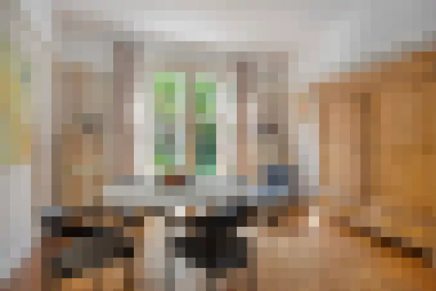 Uiverlaan 6 Eindhoven thumbnail 13