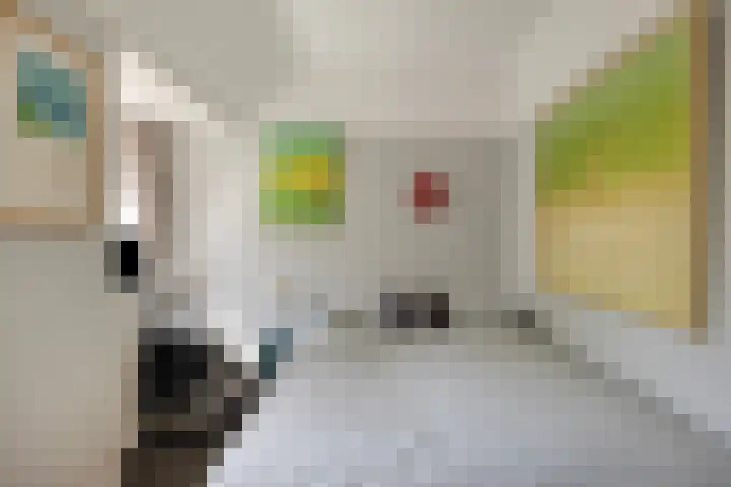 Uiverlaan 6 Eindhoven thumbnail 32