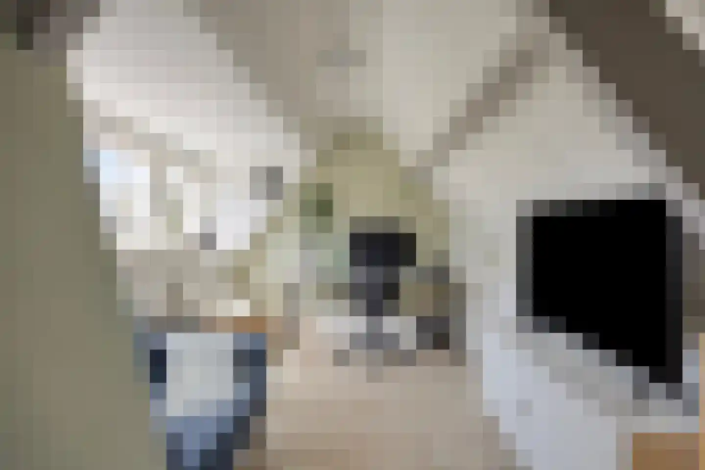 Uiverlaan 6 Eindhoven thumbnail 41