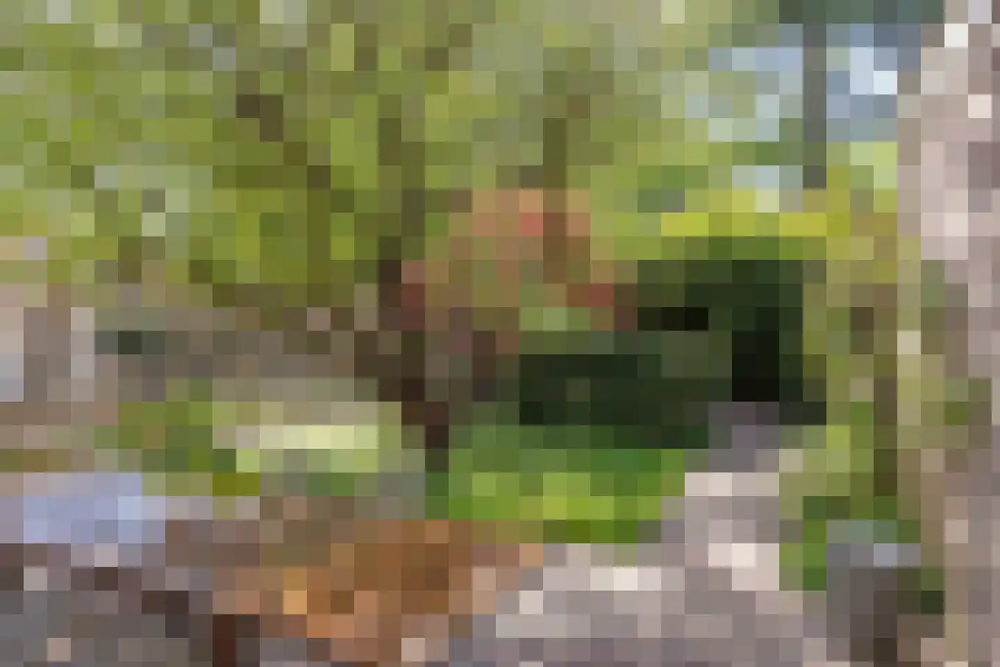 Uiverlaan 6 Eindhoven thumbnail 43
