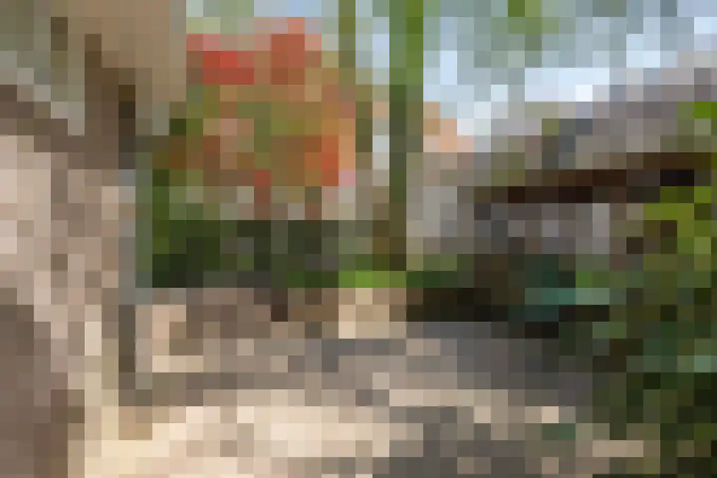 Uiverlaan 6 Eindhoven thumbnail 50
