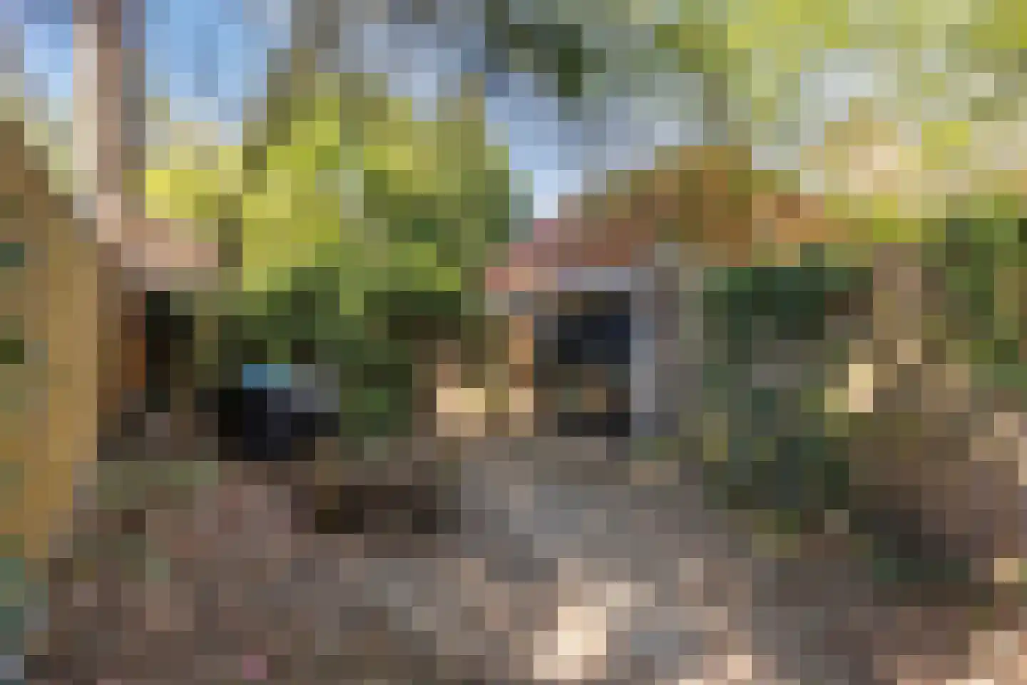 Uiverlaan 6 Eindhoven thumbnail 51