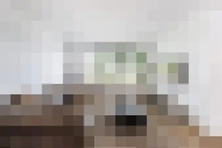 Uiverlaan 60 Maassluis thumbnail 10