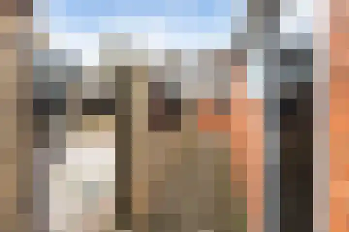 Uiverlaan 60 Maassluis thumbnail 22