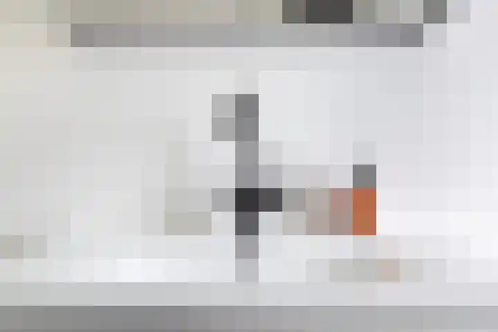 Uiverlaan 60 Maassluis thumbnail 31