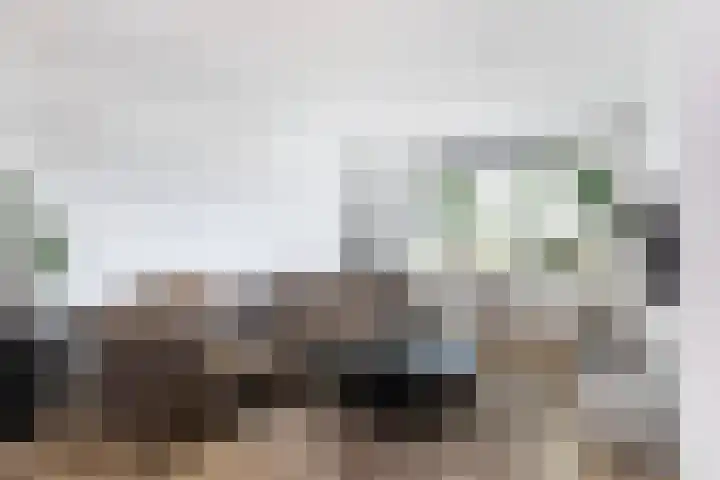 Uiverlaan 60 Maassluis thumbnail 9