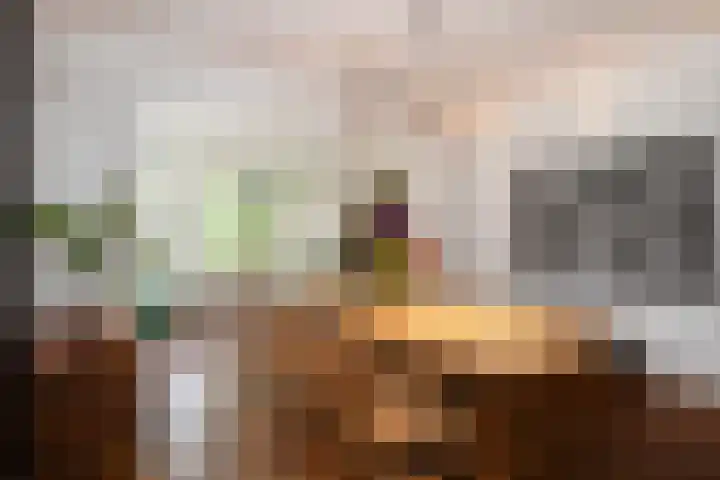 Uiverlaan 7 Eindhoven thumbnail 11